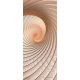 Spirál vlies poszter, fotótapéta 308VET /91x211 cm/