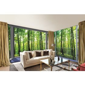 Erdő vlies poszter, fotótapéta 3280VEEXXXL /832x254 cm/