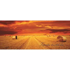 Szalmabála poszter, fotótapéta 414VEP /250x104 cm/