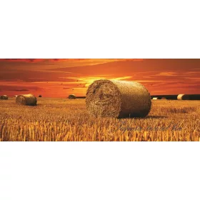 Szalmabála poszter, fotótapéta 415VEP /250x104 cm/