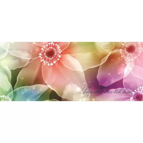 Színes nárciszok poszter, fotótapéta 421VEP /250x104 cm/