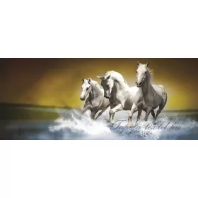 Lovak minta poszter, fotótapéta 425VEP /250x104 cm/