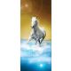 Ló vlies poszter, fotótapéta 425VET /91x211 cm/