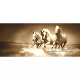 Lovak minta poszter, fotótapéta 427VEP /250x104 cm/