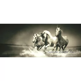 Lovak minta poszter, fotótapéta 430VEP /250x104 cm/