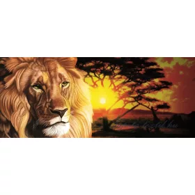 Oroszlán minta poszter, fotótapéta 433VEP /250x104 cm/