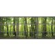 Ablakból vlies poszter, fotótapéta 443VEEXXXL /832x254 cm/
