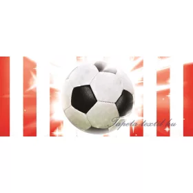 Focilabda poszter, fotótapéta 473VEP /250x104 cm/