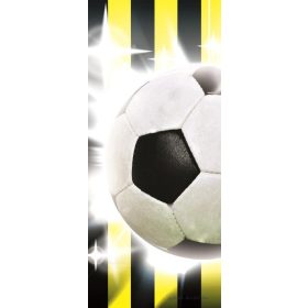 Focilabda vlies poszter, fotótapéta 474VET /91x211 cm/