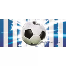 Focilabda poszter, fotótapéta 476VEP /250x104 cm/