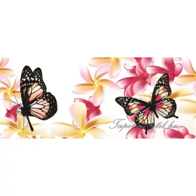 Pillangók poszter, fotótapéta 558VEP /250x104 cm/