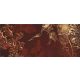 Inda minta vlies poszter, fotótapéta 559VEP /250x104 cm/