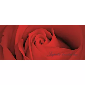 Rózsa minta vlies poszter, fotótapéta 560VEP /250x104 cm/