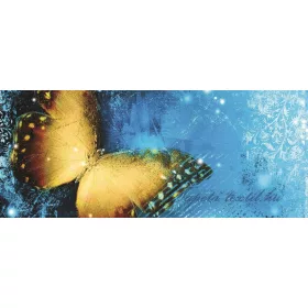 Pillangó poszter, fotótapéta 573VEP /250x104 cm/