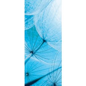 Pitypang vlies poszter, fotótapéta 586VET /91x211 cm/