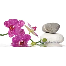 Orchidea vlies poszter, fotótapéta 652VEP /250x104 cm/