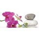 Orchidea vlies poszter, fotótapéta 652VEP /250x104 cm/
