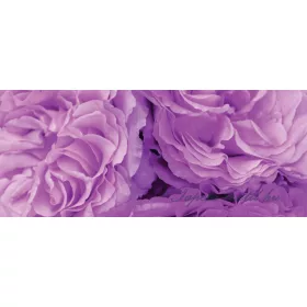   Lila virágok vlies poszter, fotótapéta 657VEP /250x104 cm/