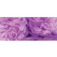 Lila virágok vlies poszter, fotótapéta 657VEP /250x104 cm/