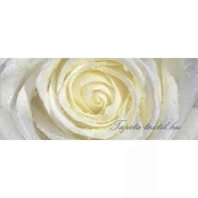   Fehér-sárga rózsa vlies poszter, fotótapéta 663VEP /250x104 cm/
