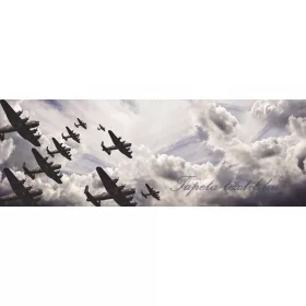   Repülők vlies poszter, fotótapéta 791VEEXXXL /832x254 cm/