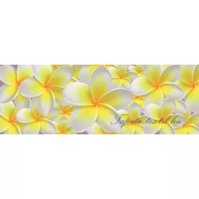   Vanília virág vlies poszter, fotótapéta 793VEEXXL /624x219 cm/