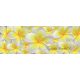 Vanília virág vlies poszter, fotótapéta 793VEEXXL /624x219 cm/