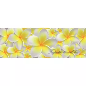   Vanília virág vlies poszter, fotótapéta 793VEEXXXL /832x254 cm/