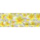 Vanília virág vlies poszter, fotótapéta 793VEEXXXL /832x254 cm/