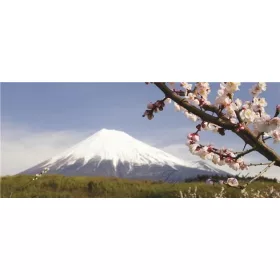 Hegy poszter, fotótapéta 8-006VEP /250x104 cm/