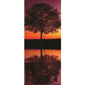 Tree vlies poszter, fotótapéta 8-007VET /91x211 cm/