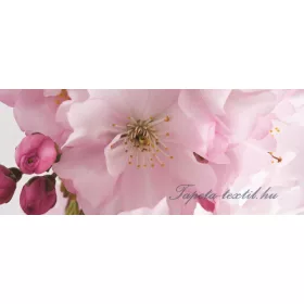   Alma virág vlies poszter, fotótapéta 8-020VEP /250x104 cm/