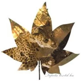   Levél formájú vlies poszter, fotótapéta 900VEZ6 /208x208 cm/