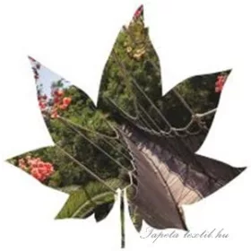   Levél formájú vlies poszter, fotótapéta 901VEZ6 /208x208 cm/