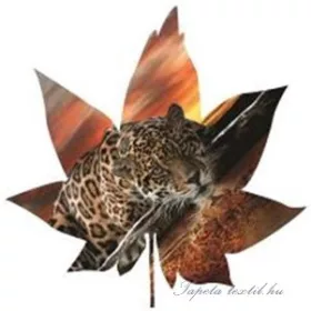   Levél formájú vlies poszter, fotótapéta 902VEZ6 /208x208 cm/