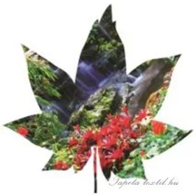   Levél formájú vlies poszter, fotótapéta 906VEZ6 /208x208 cm/