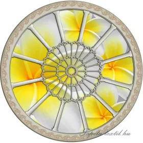   Vanilia flower vlies kör, rozetta fotótapéta 908VEZ1 /208x208/