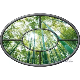 Ovális vlies poszter, fotótapéta 923VEZ7 /312x208 cm/