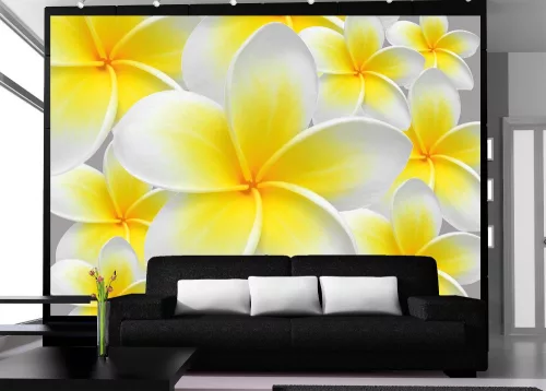 Virágok poszter, fotótapéta Vlies (208 x 146 cm)