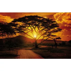 Afrika  poszter, fotótapéta, Vlies (104 x 70,5 cm)