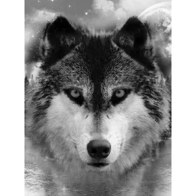 Farkas poszter, fotótapéta, Vlies  (184x254 cm, álló)