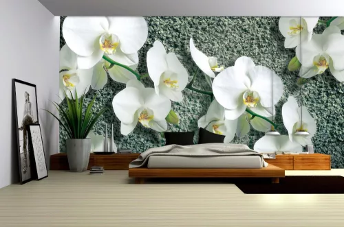 Orchidea poszter, fotótapéta, Vlies (104 x 70,5 cm)