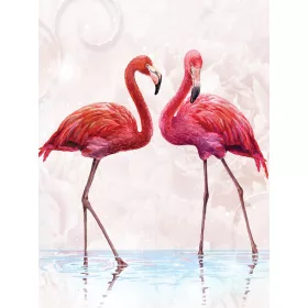   Flamingók poszter, fotótapéta, Vlies  (184x254 cm, álló)