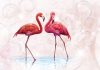 Flamingók  poszter, fotótapéta, Vlies (104 x 70,5 cm)