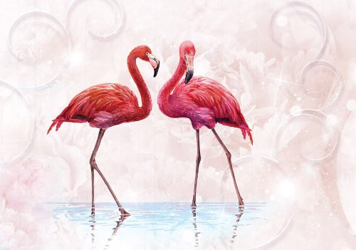 Flamingók  poszter, fotótapéta, Vlies (104 x 70,5 cm)