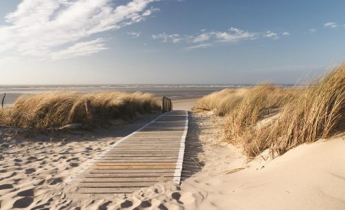Út a strandra poszter, fotótapéta Vlies (208 x 146 cm)