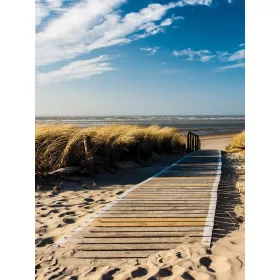   Út a strandra poszter, fotótapéta, Vlies  (184x254 cm, álló)