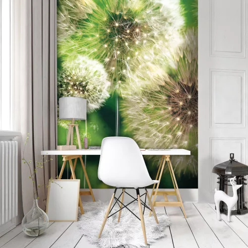 Pitypang poszter, fotótapéta, Vlies  (184x254 cm, álló)