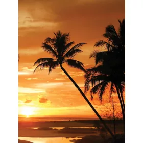   Pálmafák poszter, fotótapéta, Vlies  (184x254 cm, álló)