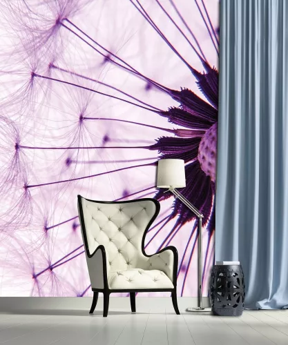 Pitypang poszter, fotótapéta, Vlies  (184x254 cm, álló)